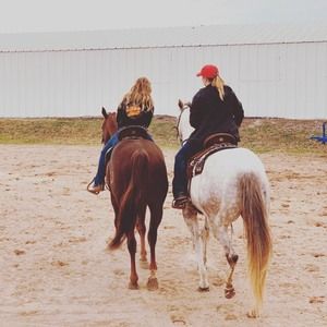 Meet your Posher, Colby